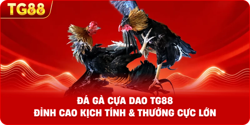 ĐÁ GÀ Cựa Dao – Đỉnh Cao Cá Cược Kịch Tính Thưởng Cực Lớn