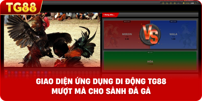 Giao diện ứng dụng di động TG88 mượt mà cho sảnh đá gà